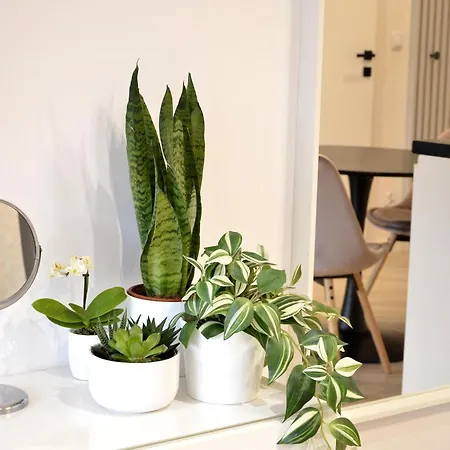 Private Parking, Secure Building - Old Town & Main Station Apartament Gdańsk